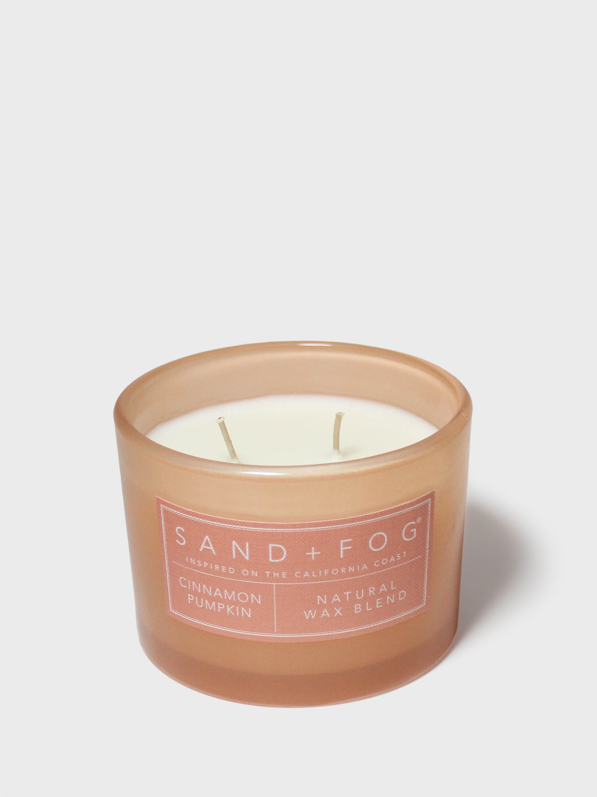 Fragrant Cinnamon Pumpkin 12 oz scented candle