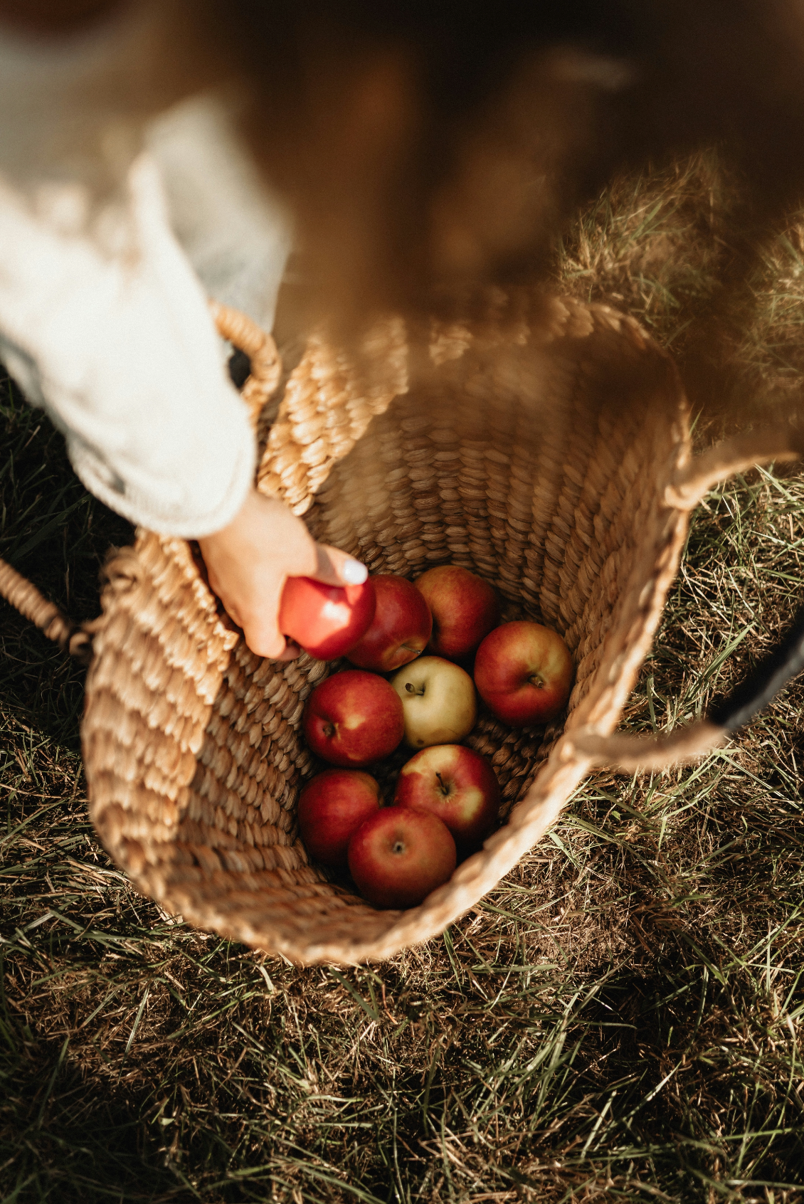 Fragrant Apple Picking 12 oz scented candle