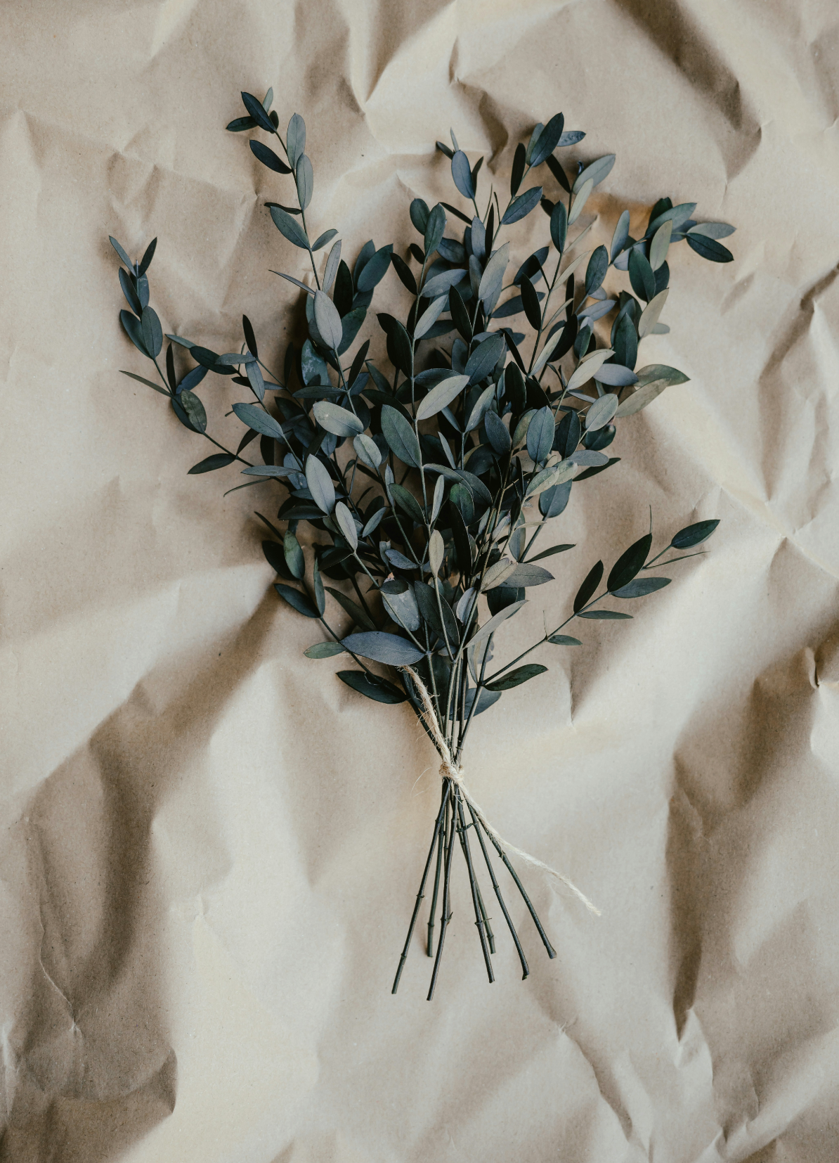 Fragrant Eucalyptus Natural Home 7 oz scented candle