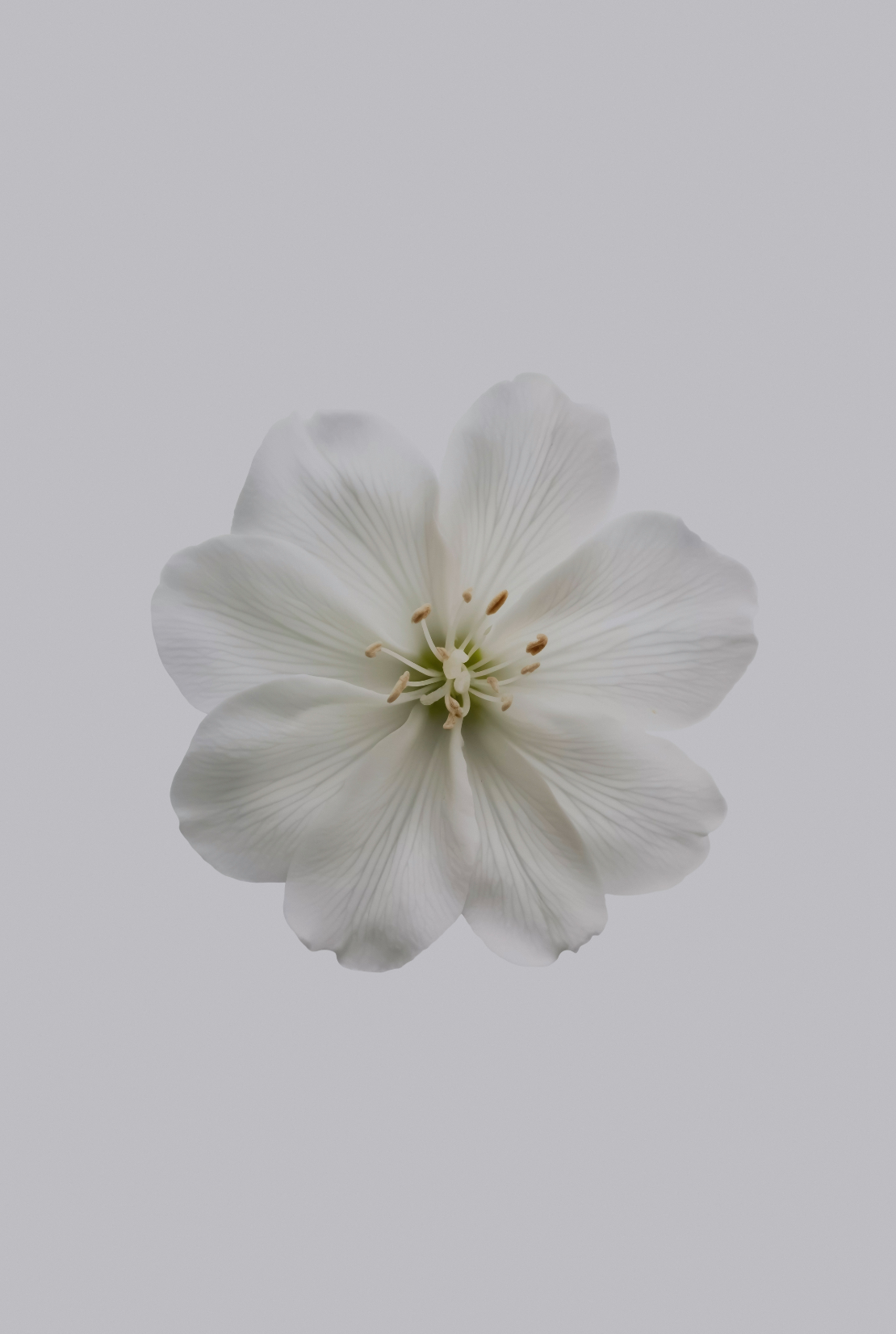 Fragrant Fresh Jasmine 12 oz scented candle