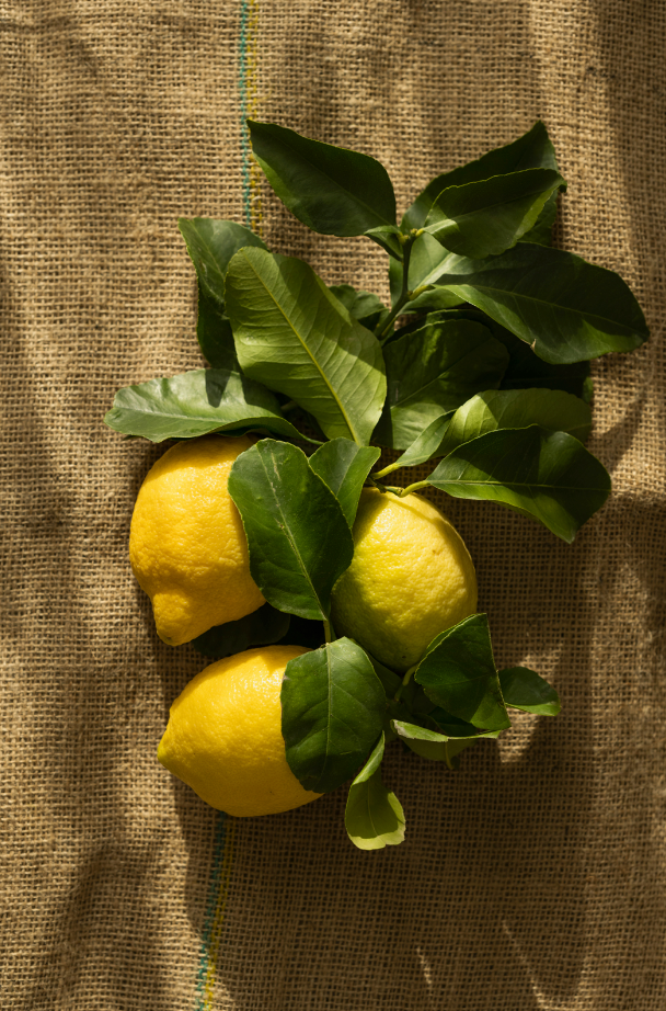 Fragrant Olive & Lemon 10 oz scented candle