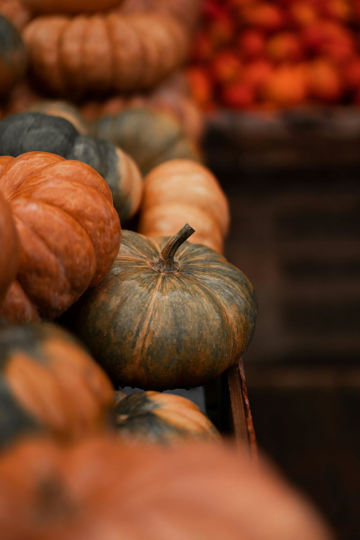 Fragrant Cinnamon Pumpkin 12 oz scented candle